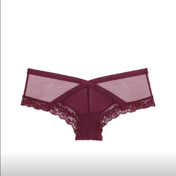 NWT Victoria’s Secret Mesh Detail Cheeky Panties - Picture 3 of 4